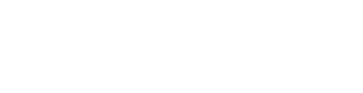 Logo Essegi System